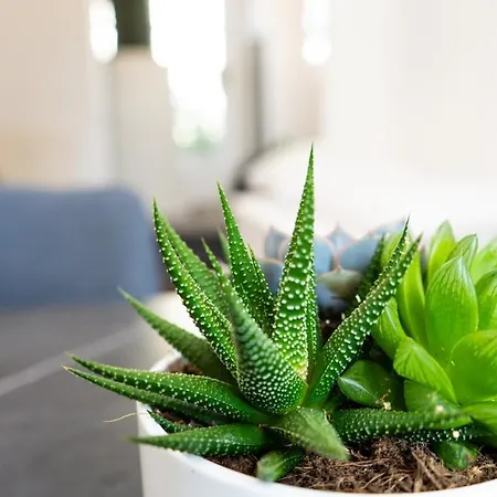 - 3 Beds - Kitchen - Wifi - Washing Machine Appartement *