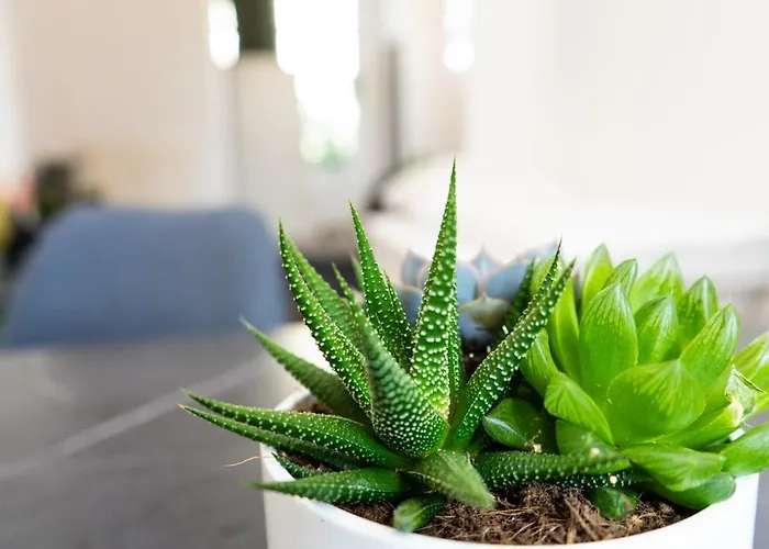 - 3 Beds - Kitchen - Wifi - Washing Machine Appartement *